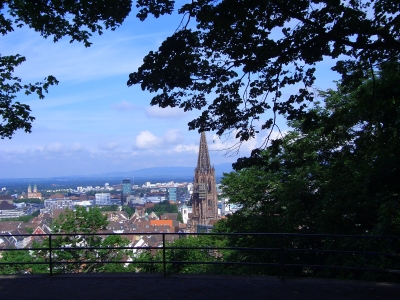 Umzug Freiburg im Breisgau